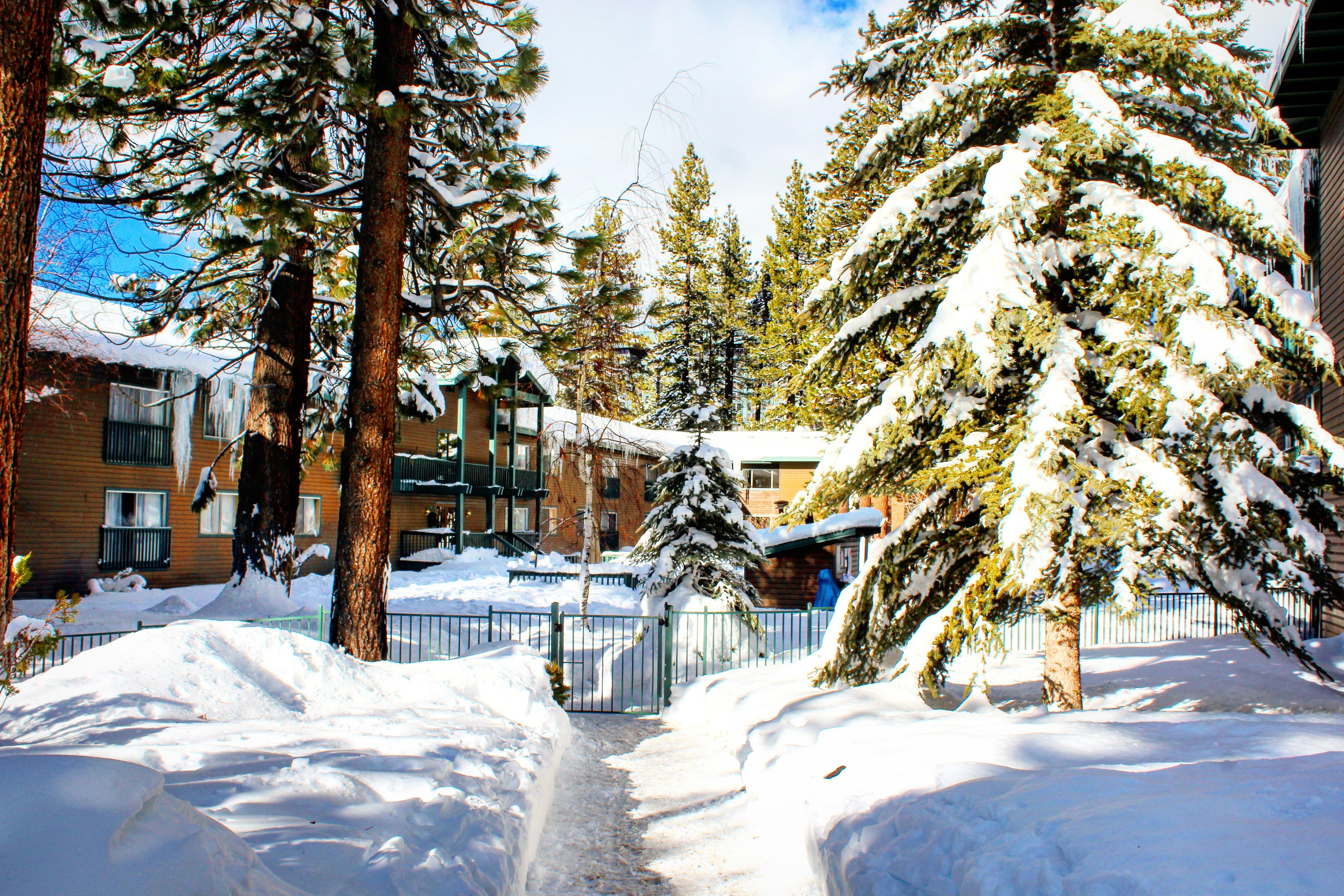 Forest Suites Resort At The Heavenly Village South Lake Tahoe Eksteriør bilde
